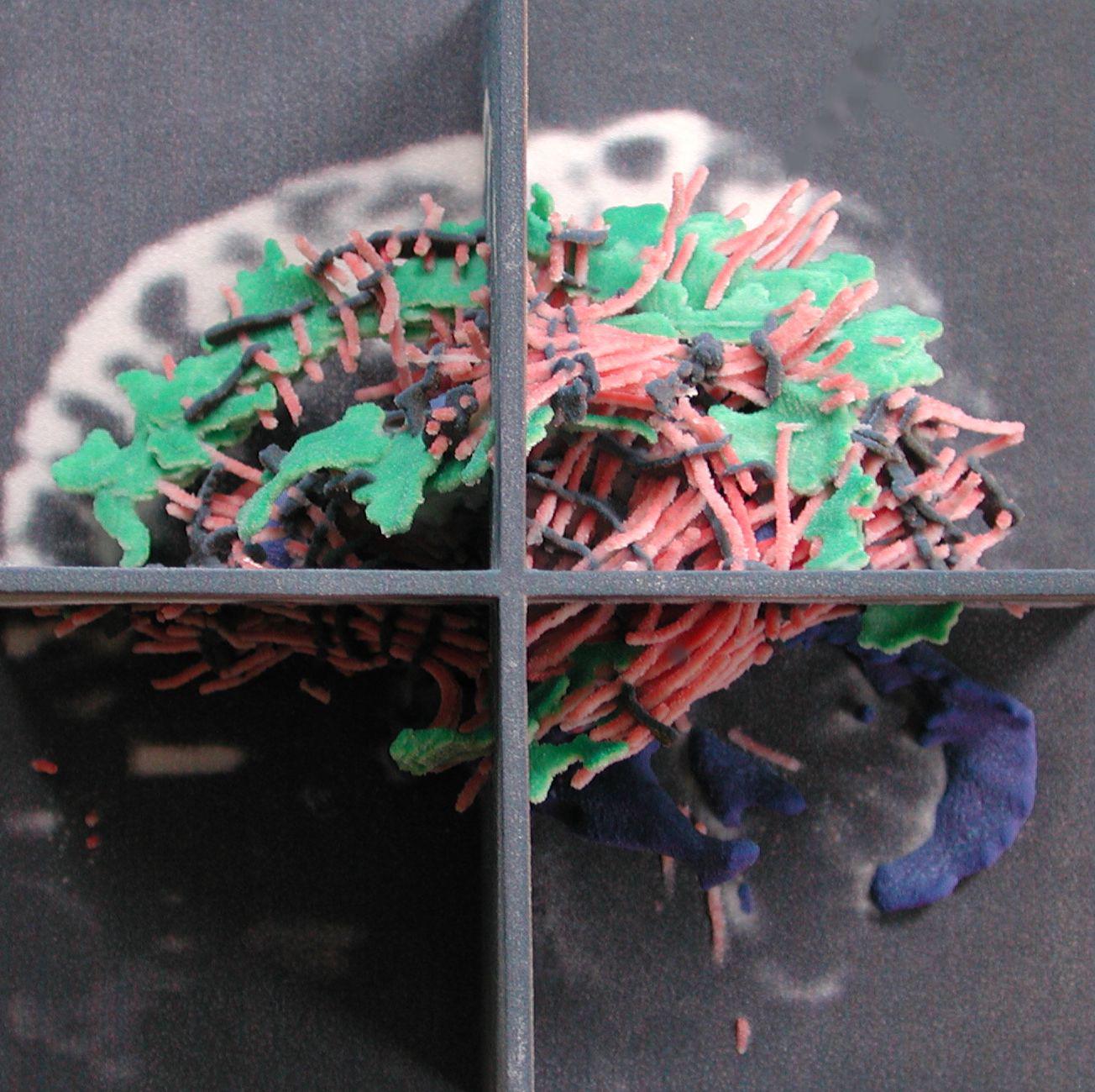 Color Rapid Prototyping for Diffusion Tensor {MRI} Visualization