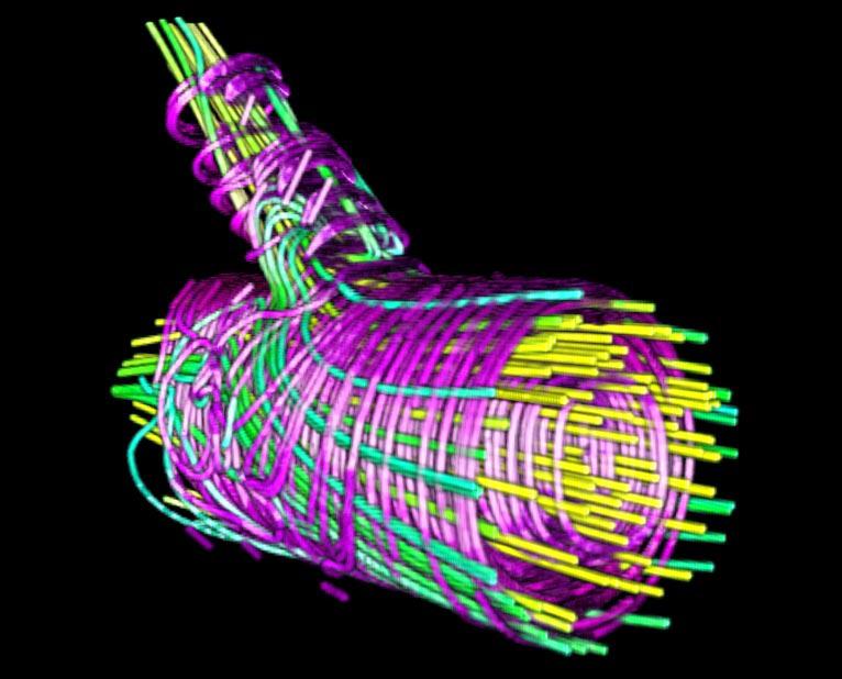 Interactive Volume Rendering of Thin Thread Structures within Multivalued Scientific Datasets