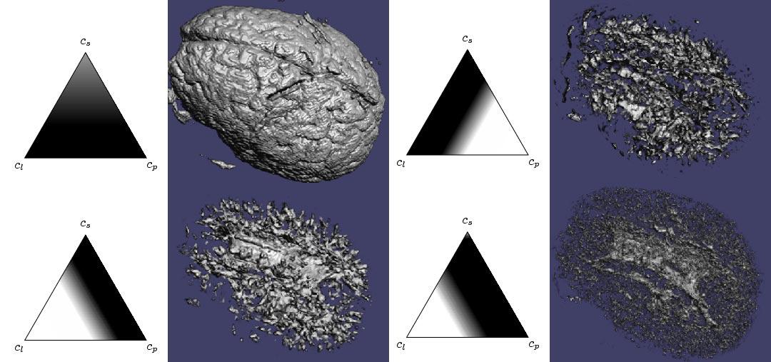 Diffusion Tensor {MRI} Visualization